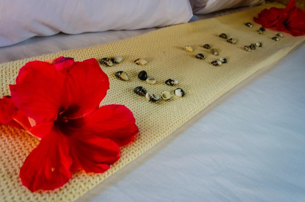 Coralview Island Resort Tavewa Island Экстерьер фото